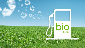Исследование европейского рынка биодизеля в Европе