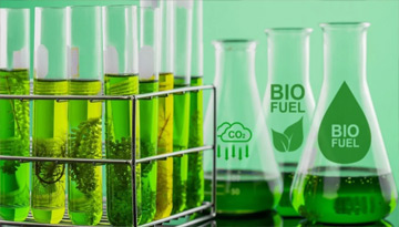 Исследование рынка биотоплива второго поколения