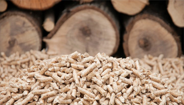 Российский и европейский рынок топливных гранул