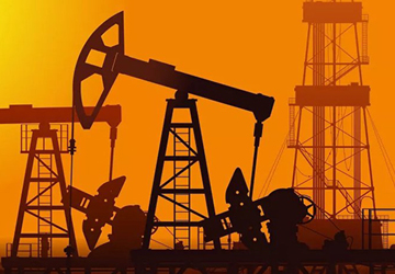 Исследование  рынка нефти и нефтепродуктов в РФ к 1-му кв.2009 г.