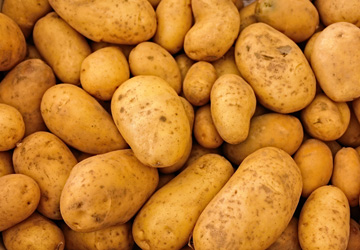 Исследование рынка картофеля