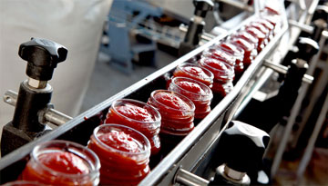 Обзор российского рынка промышленной томатной пасты