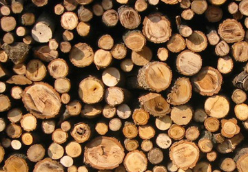 Анализ российского рынка антисептиков для временной защиты промышленной древесины