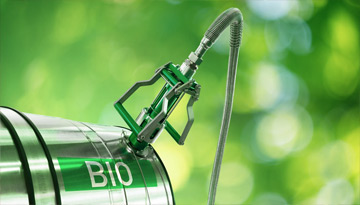 Исследование рынка производства биотоплива в России и мире ИЛИ Предоставление информации по импортно-экспортной статистике зарубежных стран