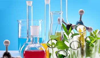 Исследование рынка продуктов органической химии