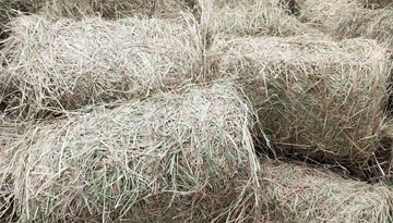 Исследование рынка «Оценка обеспеченности проекта основным сырьём: рисовой соломой, рисовой шелухой или золой рисовой шелухи»