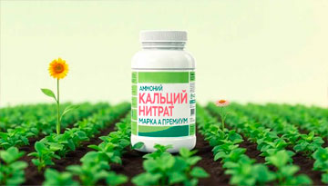 Исследование рынка нитрата кальция