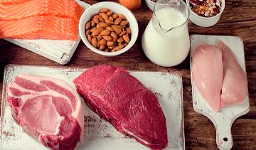 Исследование рынка пищевого животного белка