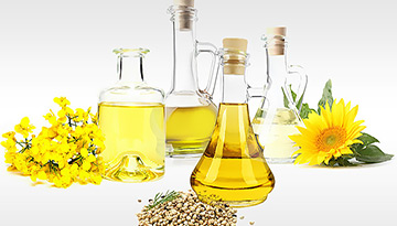 Предоставление сведений об экспорте из России рапсовых и подсолнечных масел