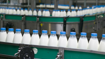 Исследование рынка продуктов глубокой переработки молока