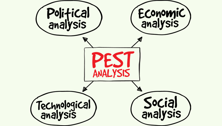 Оценка влияния итогов PEST-анализа