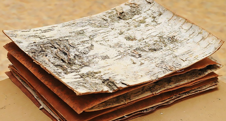 Исследование рынка глубокой переработки древесины из берёзы