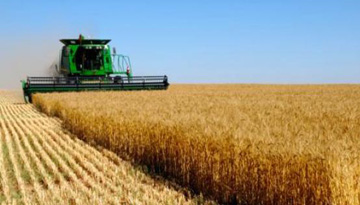 Исследование рынка пшеницы Ростовской области