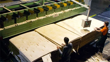 Предоставление информации по российским предприятиям - производителям фанеры