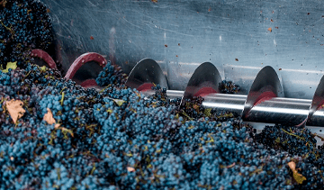 Экспертиза рыночной цены комплекса оборудования по приёмке и переработке винограда мощностью 900 тонн в сутки