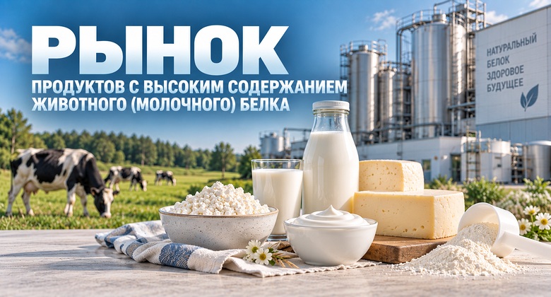 Исследование рынка высокобелковых нескоропортящихся продуктов