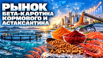 Маркетинговое исследование рынка бета-каротина кормового и астаксантина