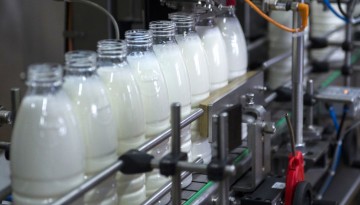 Исследование ключевых производителей молока в России